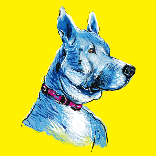 Ilustración personalizada de tu mascota